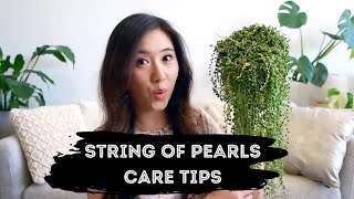 String of Pearls Care Tips | 8 tips you should know