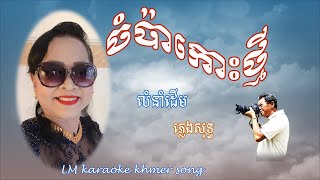 ចំប៉ាកោះថ្មី (ភ្លេងសុទ្ធ ) Cham pha koh thmey LM karaoke khmer song