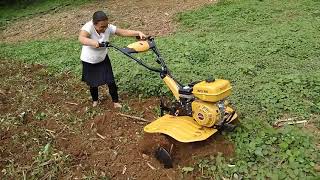 Testando nosso Tratorito/ Motocultivador.