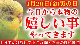 【1分聞き流して下さい】このあと「本物の」嬉しい事が次々やってくる🌞潜在意識が変化し巨万の幸せを招く周波数の動画🌞1月20日寅の日の浄化音楽 邪気祓い 幸運体質チューニング