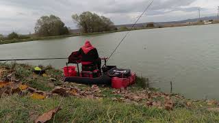 Есенни каракуди на кошничка яз. Върбица Feeder Fishing , Milo Bulgaria