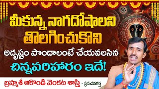 నాగదోషం పోవాలంటే..? | Naga Dosham Pariharam in Telugu | Dharma Sandehalu Telugu | SocialPost TV