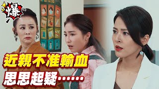 《多情大爆爆》多情城市 EP104 近親不准輸血 思思起疑……