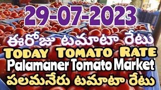 పలమనేరు 🍅🍅🍅టమాటో మార్కెట్ ధరలు 29-07-2023 ||ఈ రోజు టమోటా ధర Palamaner Market||@ckgowthamvlogs