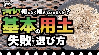 アガベ失敗しない植替え基本用土！何となく植えていませんか？