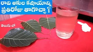 అసలు రావి ఆకుల కషాయాన్ని ప్రతిరోజు తాగొచ్చా ? || Real facts about peepal leaf decoration