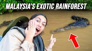 We SURVIVED Deep In Borneo's Rainforest... (CRAZIEST WILDLIFE EXPERIENCE EVER!)