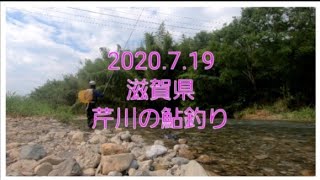 滋賀県　芹川のアユ釣り(2020.7.19)