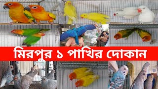 মিরপুর ১ পাখির দোকান | Mirpur 1 Pakhir Dokan | পাখি | Pakhi | টিয়া পাখি | Tiya Pakhi | Bird | Parrot