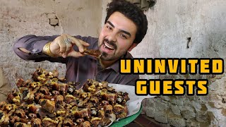 Dadeen Mutton Karahi And Wreta Bbq | Street Food in Landikotal Bazar Khyber District