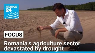 Romania's agriculture sector devastated by drought, desertification • FRANCE 24 English