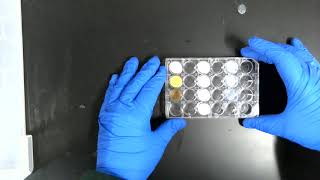 Ionic Compounds Lab Video