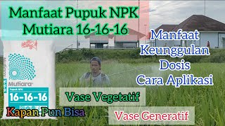 Manfaat Pupuk Mutiara NPK 16 16 16 Manfaat,Fungsi Dan Keunggulannya.