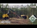 Visiting a Sustainable Tree Farm | Maryland Farm & Harvest