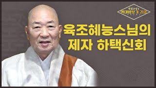 |#대원스님| 55.육조혜능스님의 제자 하택신회 스님 #지선선사 #육조혜능스님 #무상선사 #역대법보기강설 #부처님이후 정통 법맥을 이은 선사들의 이야기 #공주 학림사 #오등선원