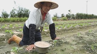 【甘願人生】20141104 - 不倒農夫