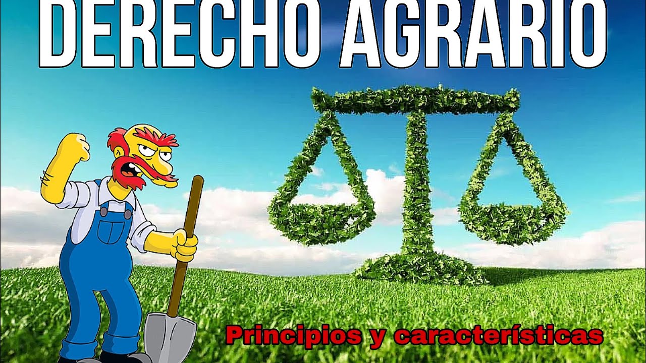 Características Y Principios Del Derecho AGRARIO| Derecho Agrario - YouTube