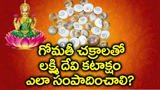 Gomati Chakralu | How Gomati Chakras make you Rich Fast | Gomati Chakra Benefits