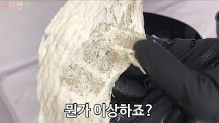 염색 기화현상을 막아보겠습니다. (끝에 쿠키영상있음)