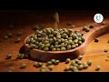 impressive health benefits of mung beans pesalu health benefits zero cholesterol chukkatips