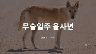 무술일주는 을사년을 어떻게 살 것인가?