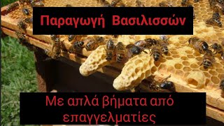 Βασιλοτροφία για Αρχάριους !