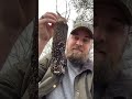 Native Plant Cone-tainers