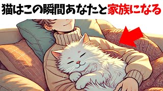 【猫と飼い主が家族になる瞬間】 猫の雑学 #猫 #ねこ