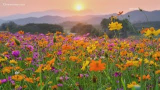 SCIENCE BEHIND: The Spring Equinox