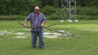 Downed Wires Safety Tips
