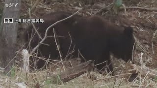 新たに人の体の一部のようなものを発見　警察が捜索　北海道・幌加内町