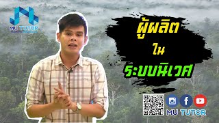 ผู้ผลิตในระบบนิเวศ ความสัมพันธ์สิ่งมีชีวิต คลอโรฟิลล์ พืช ห่วงโซ่อาหาร สายใยอาหาร #MUTUTOR #Online