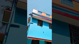 Berger paints long life 15 outside #painting #viral #youtubeshorts