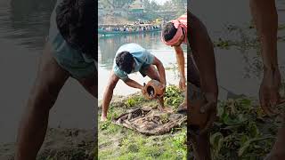 বন্ধুরা আজকে নদী থেকে মাছ ধ'রা হলো 🐟