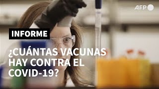 ¿Cuántas vacunas hay contra el covid-19? | AFP