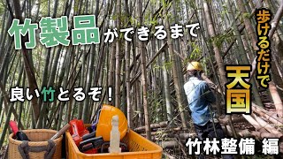 竹製品ができるまで　『竹林整備　編』