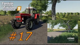 Lipinki # 17 (FS19) | Farming simulator 19 Timelapse | SKLÍZECÍ SPECIÁL!!!