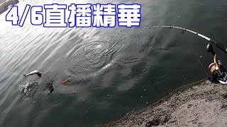 【海釣場】金目鱸咬況測試-369海釣場