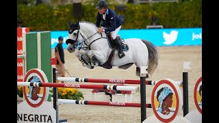 Global Champion Jumping Stallion CLARIMO is here in Australia and NZ for equine breeders 2020/21.