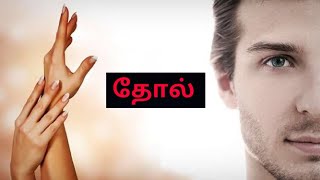 மனிதனின் தோல் பற்றி சில விசயங்களைப் பார்ப்போம்||how to human skin growth||skin glowing \u0026 skin soft 😍