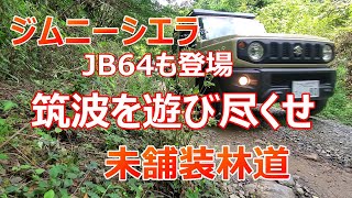 ジムニーシエラ JB64も登場 筑波を遊び尽くせ 未舗装林道編