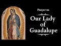 Prayer to Our Lady of Guadalupe | Finding Comfort in Her Embrace