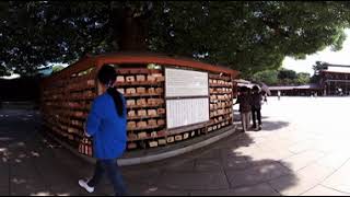 Prayers at Meiji Shrine