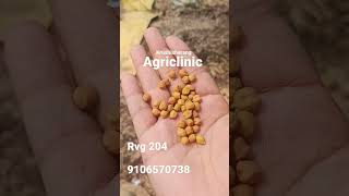 RVG 204 chana #agriclinichindi