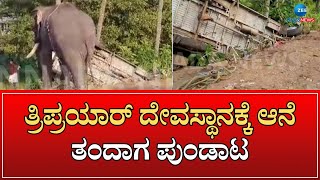 Elephant attack in Kerala | ಕೇರಳದಲ್ಲಿ ಆನೆ ದಾಂದಲೇ.. ಎಲ್ಲಾವು ಉಡೀಸ್‌