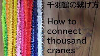 【折り紙】千羽鶴のつなげ方【origami】How to connect thousand cranes