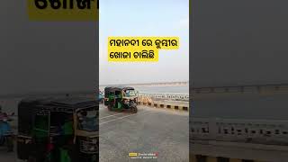 ମହାନଦୀ ରେ କୁମ୍ଭୀର #anubhav #humansagar #river  #song