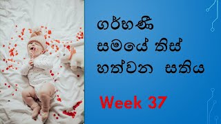 Pregnancy week 37 : Pregnant week 37 Sinhala | pregnant week by week sinhala ගර්භණී සති 37