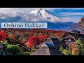 Mt Fuji World Heritage Site Oshino Hakkai | #oshinohakkai #忍野八海 #fuji #富士山