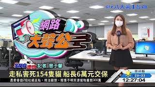 走私害死154隻貓 船長6萬元交保 八大民生新聞 2021082304